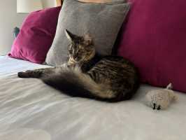 TILLY DEC 2025(001)